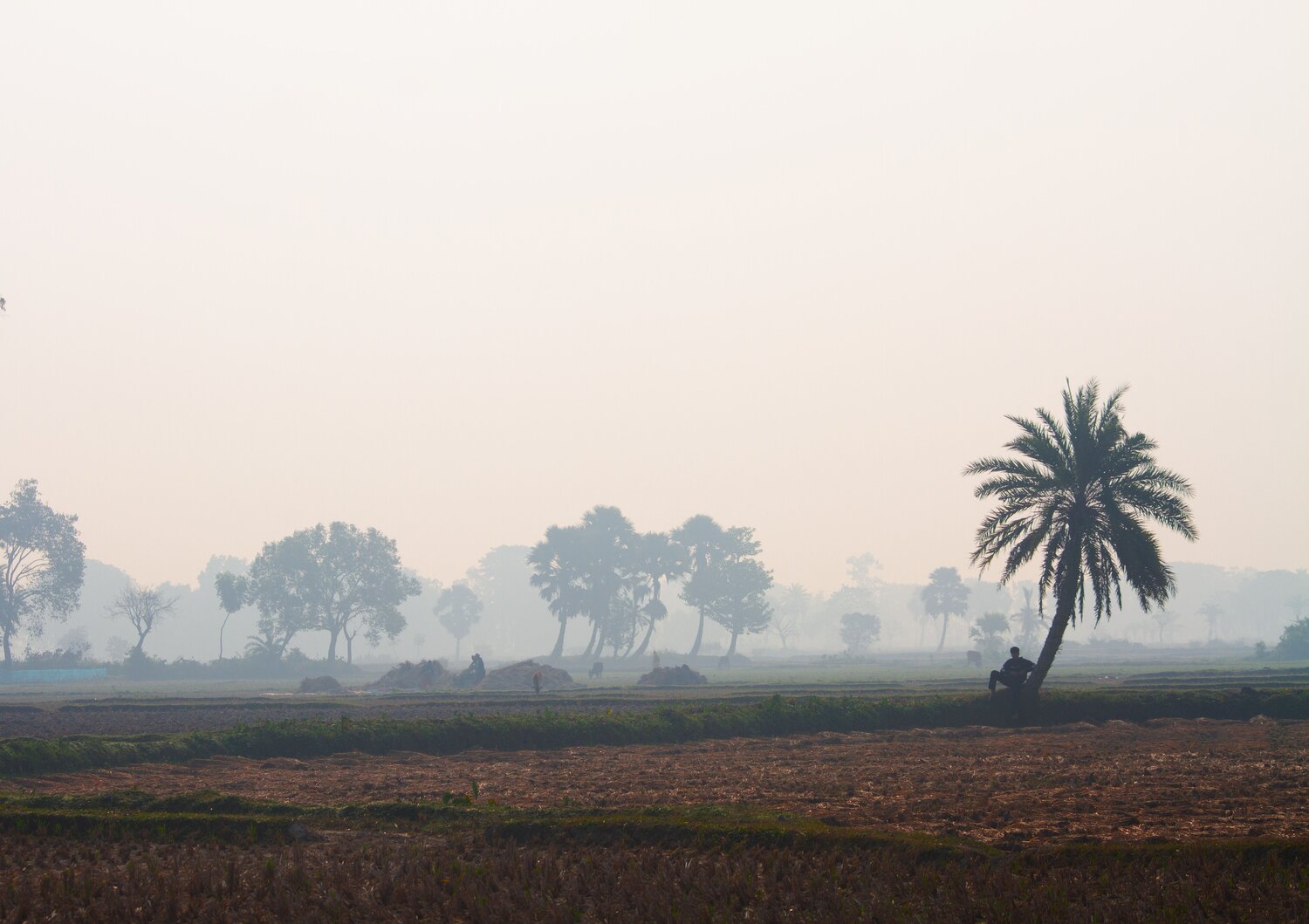 Photo #13022195