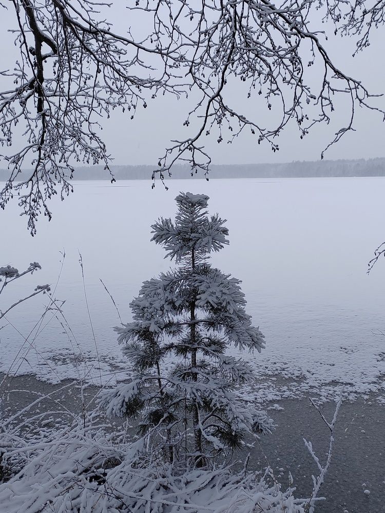 Photograph by Анастасия Молчанова
