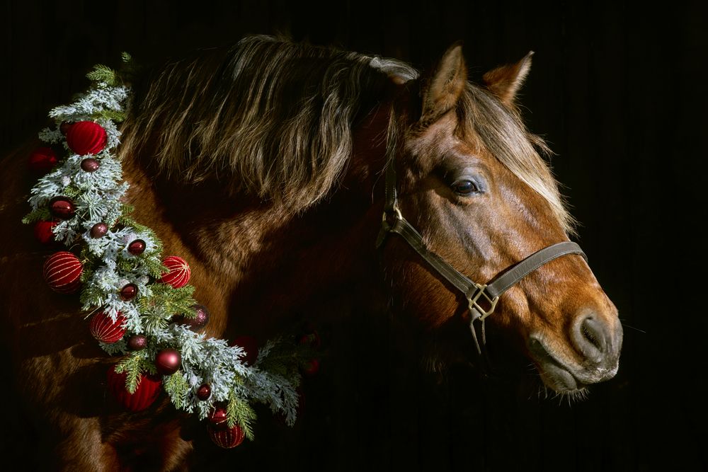 Фотография автора Марина Красовская