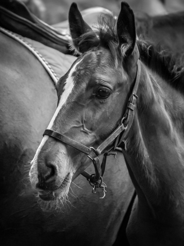 Photograph by Agita Leimane