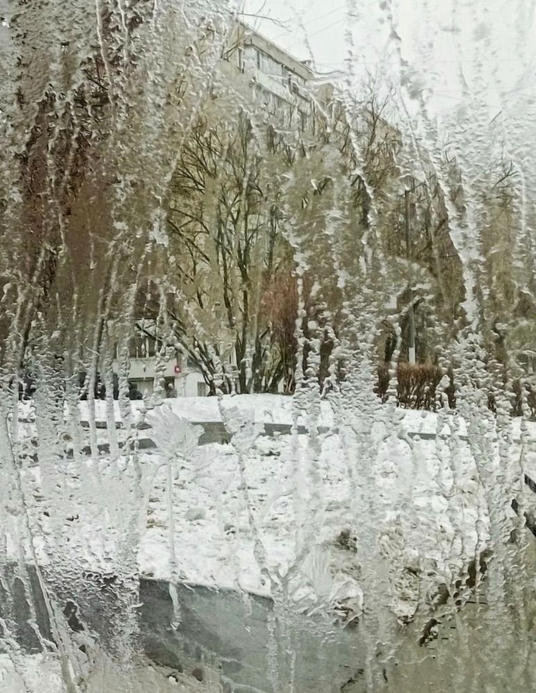 Photograph by Sergey Kurkov-Tarkovsky