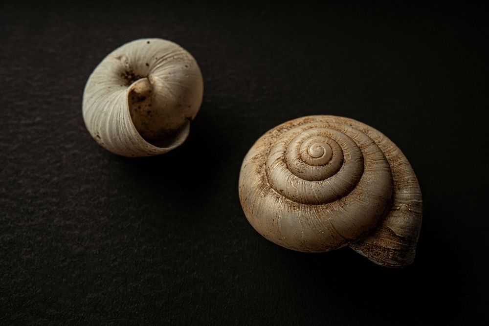 Photograph by Константин Щербаков