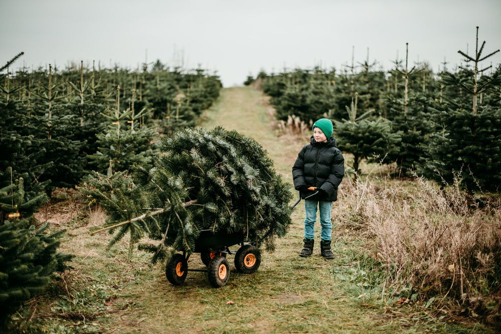 Photograph by Sandra Tines