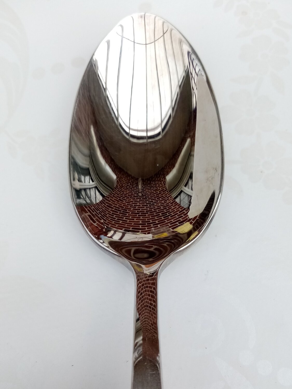 Photo #13022282