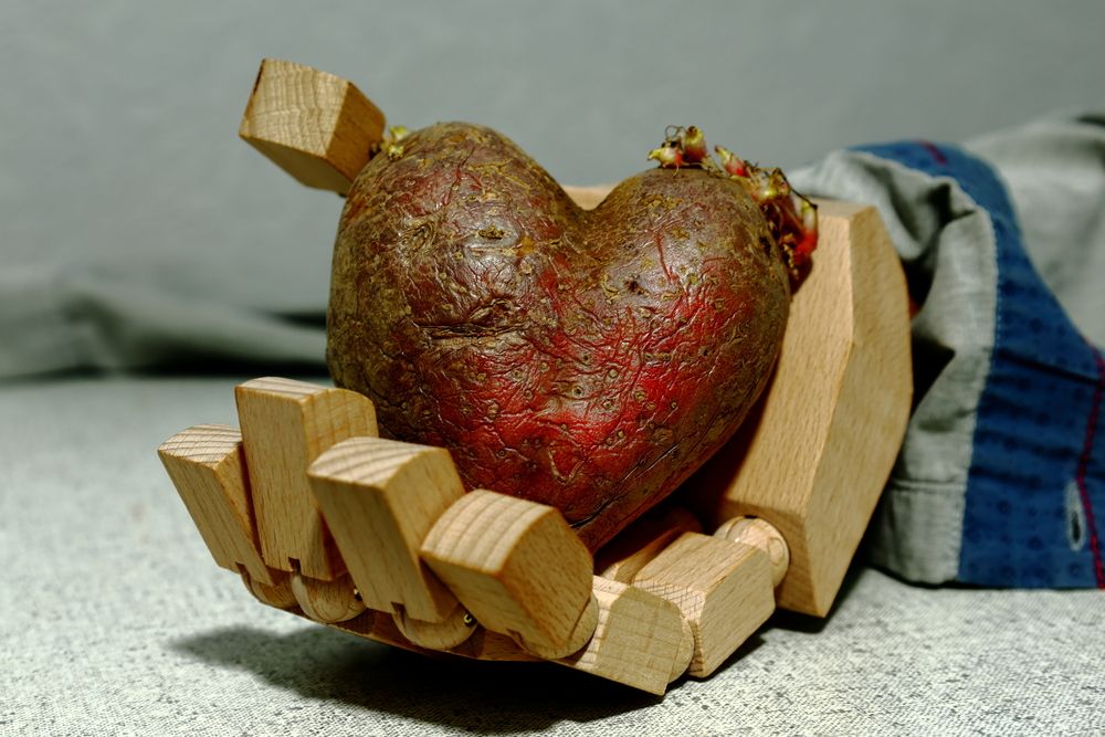 Photograph by Sergey M