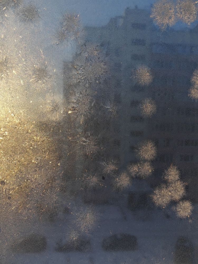 Фотография автора Алёна С-К