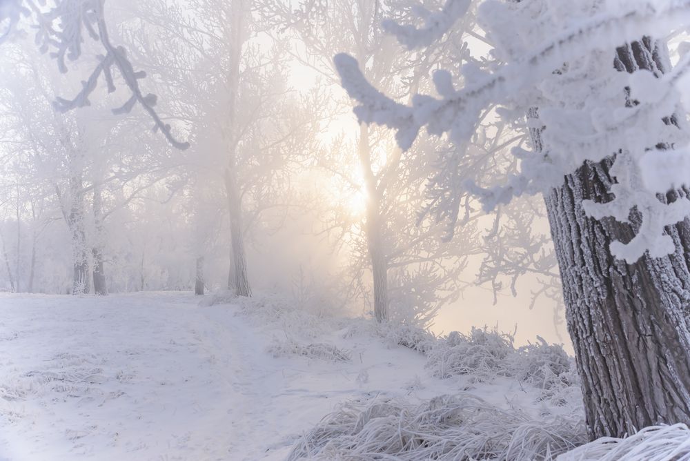 Photograph by Наталья Дроздова