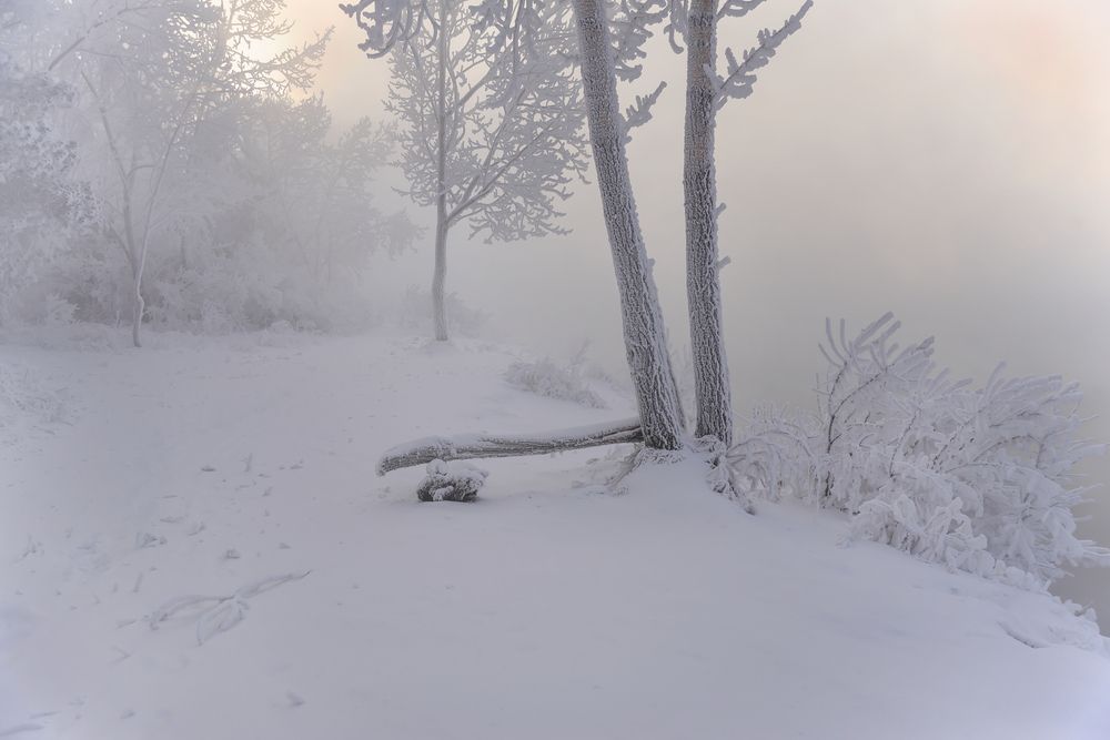 Photograph by Наталья Дроздова