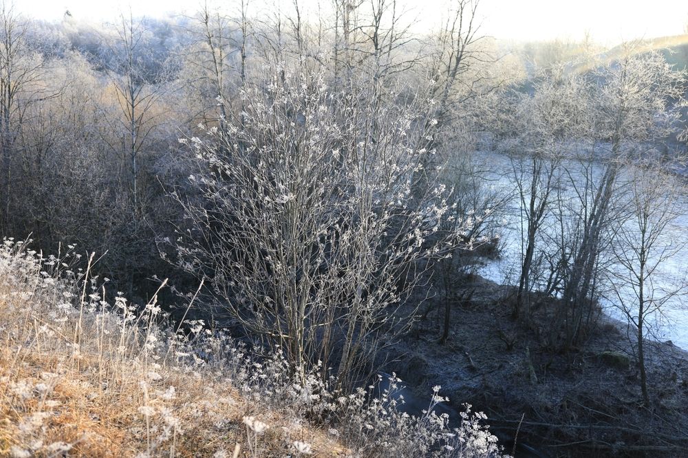 Первые заморозки