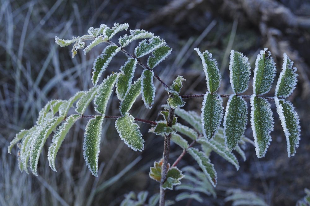 Фотография автора Николай Семенец