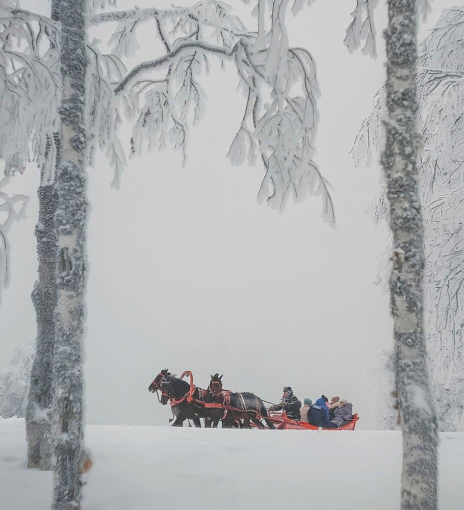 Вот мчится тройка