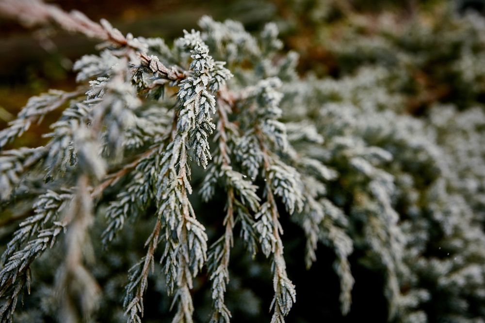 Фотография автора TOTORO