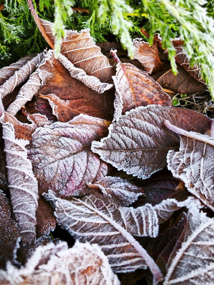 Photograph by Владимир Лобанов