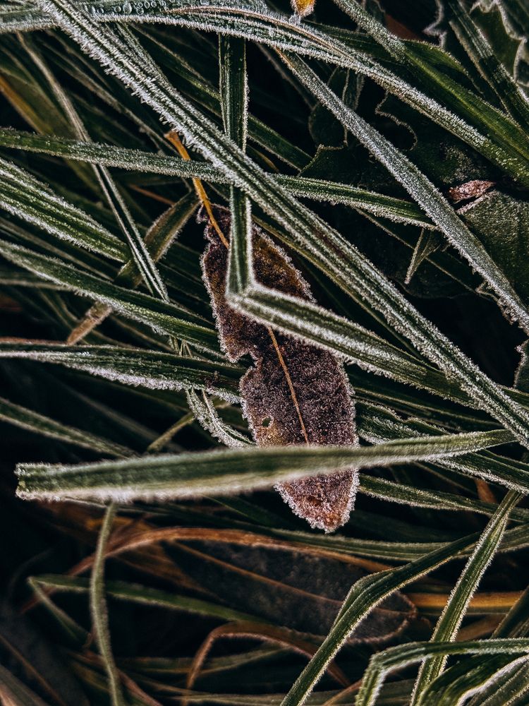 Фотография автора Мария