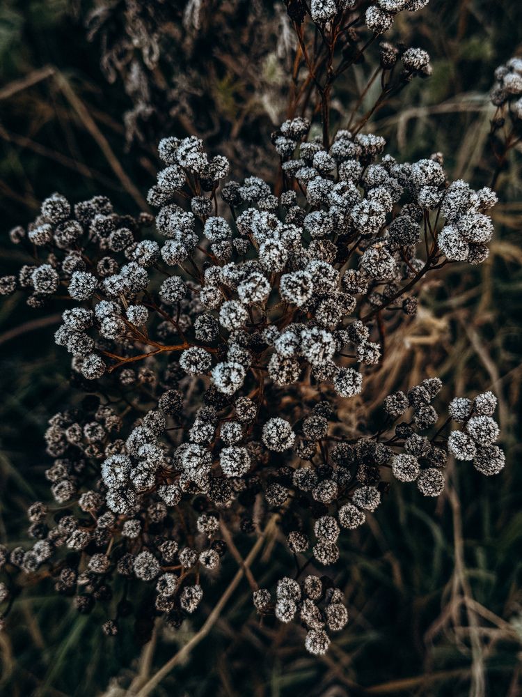 Фотография автора Мария