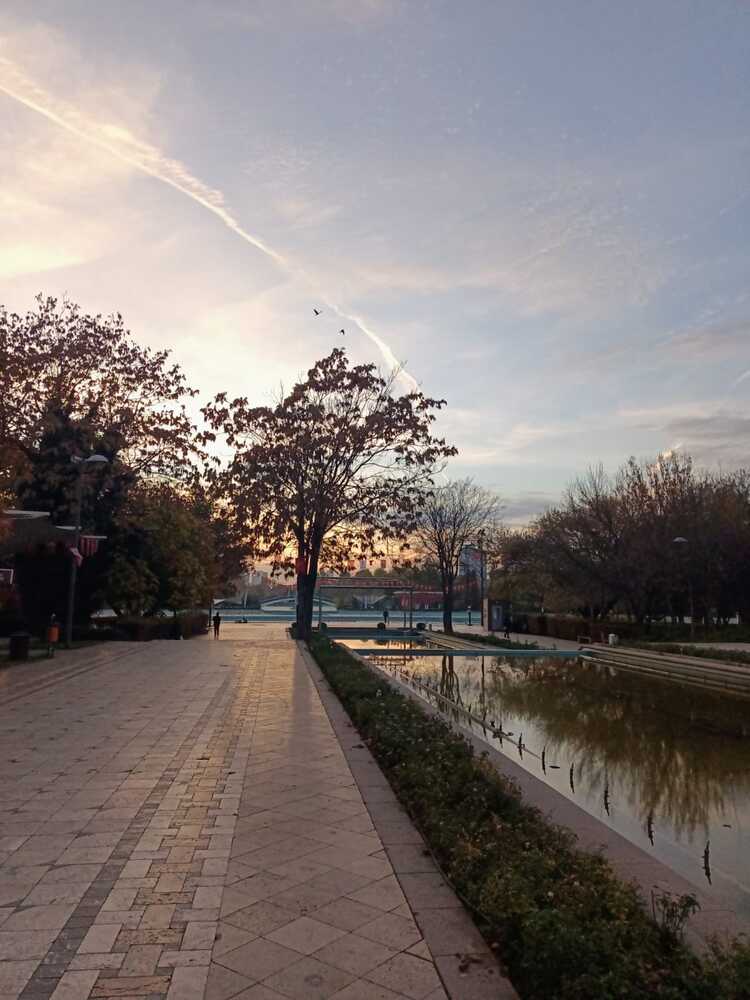 Photograph by Şüheda Temiz