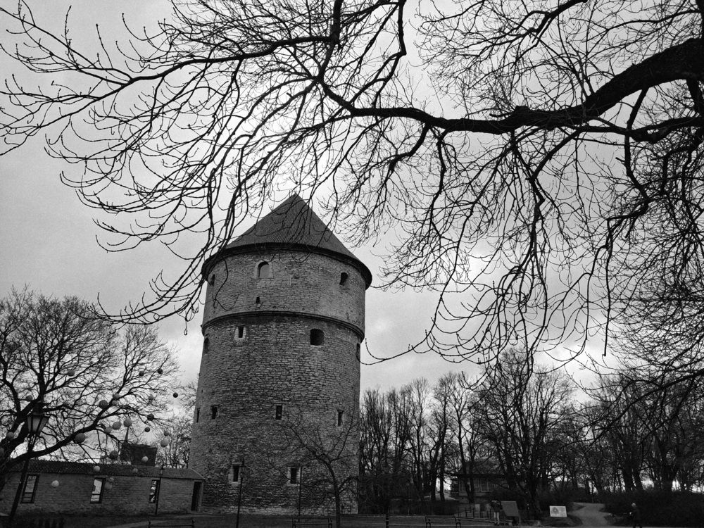 Photograph by Инна Демкив