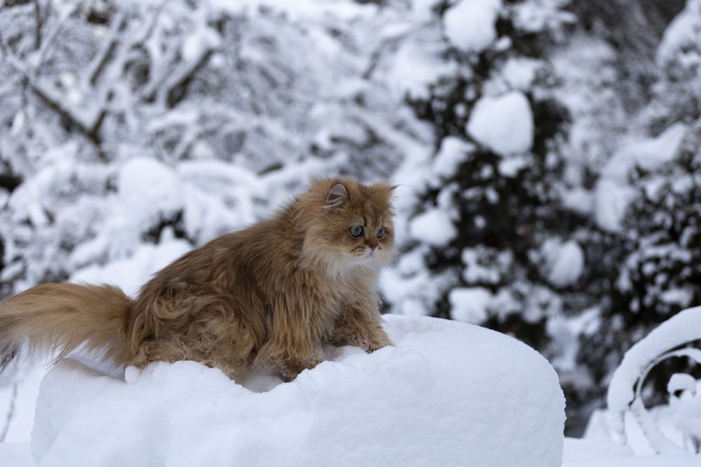 Photograph by Беликов Михаил