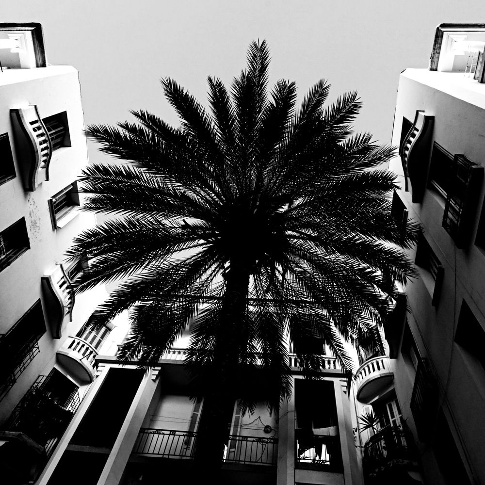 Photograph by Дим Барзыкин