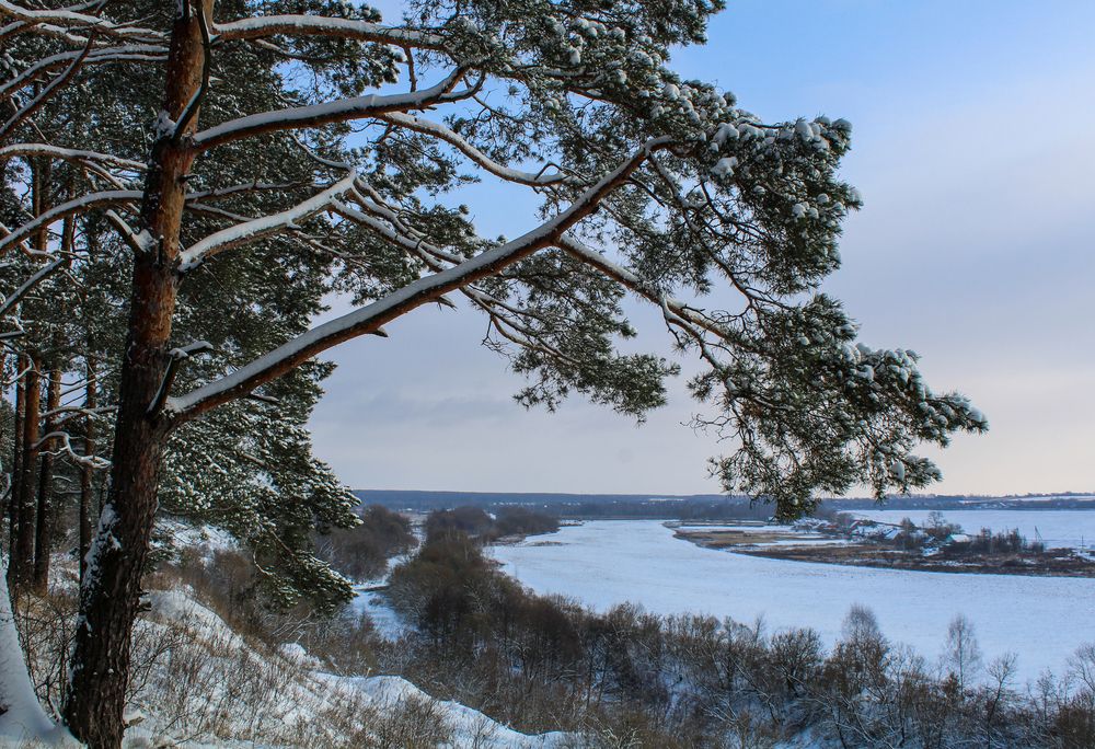 В ожидании нового года