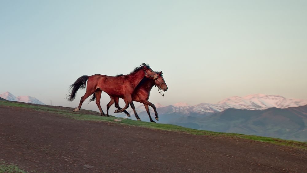 Фотография автора Olga Belousova