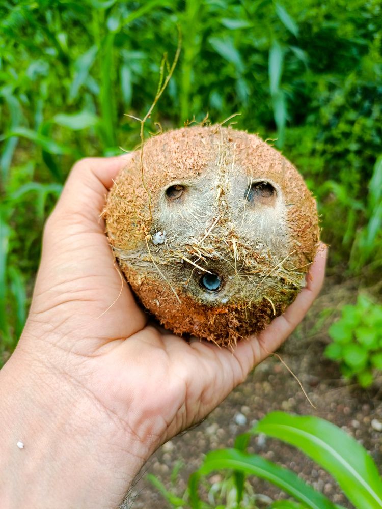 Photograph by sumit sitole