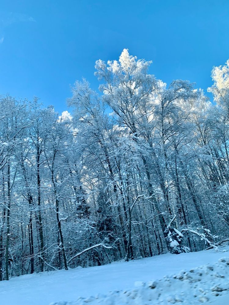 Фотография автора Виктория Ляпина