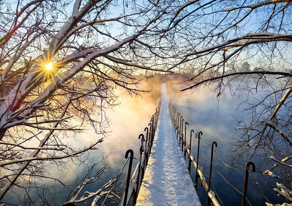 Photograph by Мишустина Татьяна