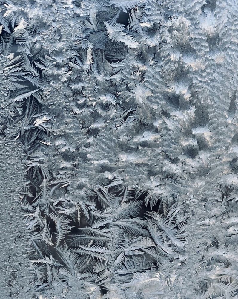 Фотография автора Виктория Ляпина