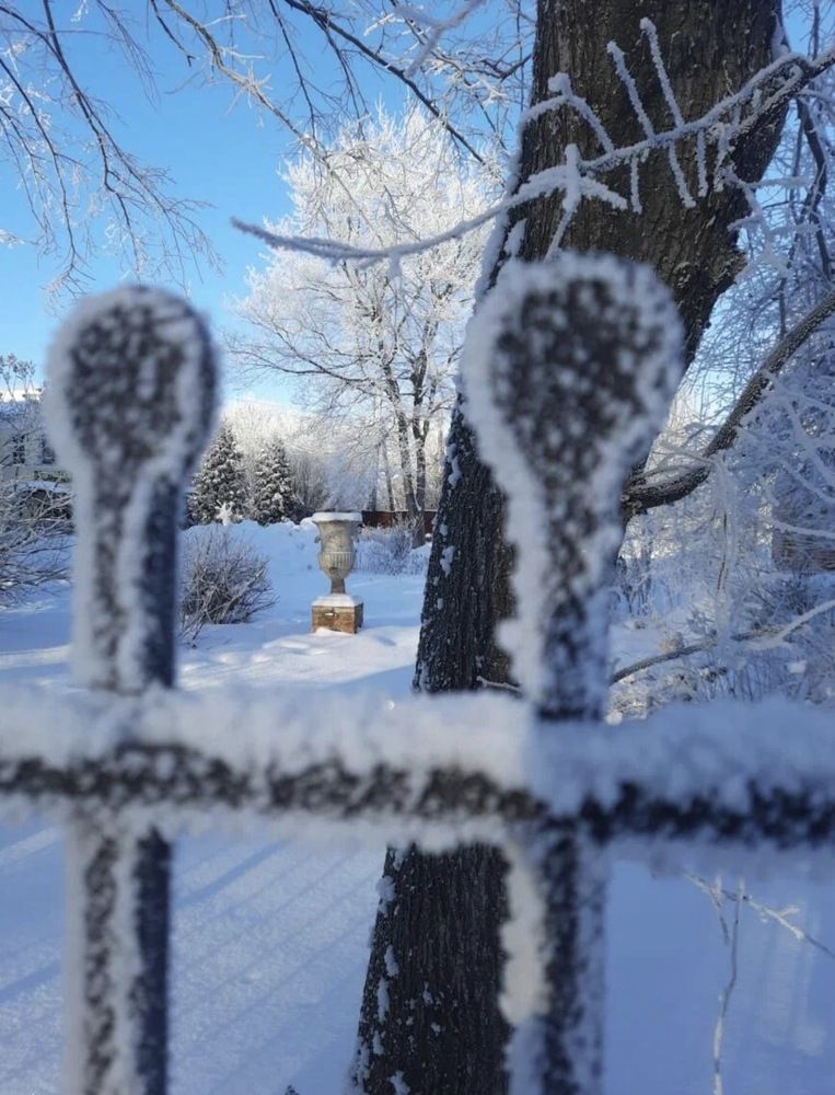 Фотография автора Виктория Ляпина