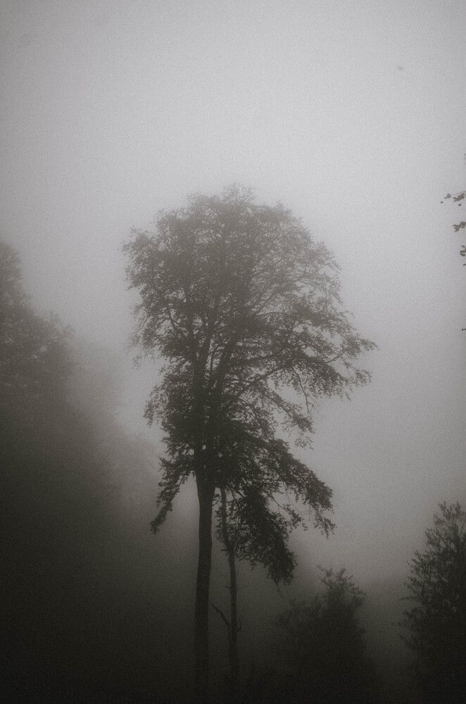 Фотография автора Артём Фешков
