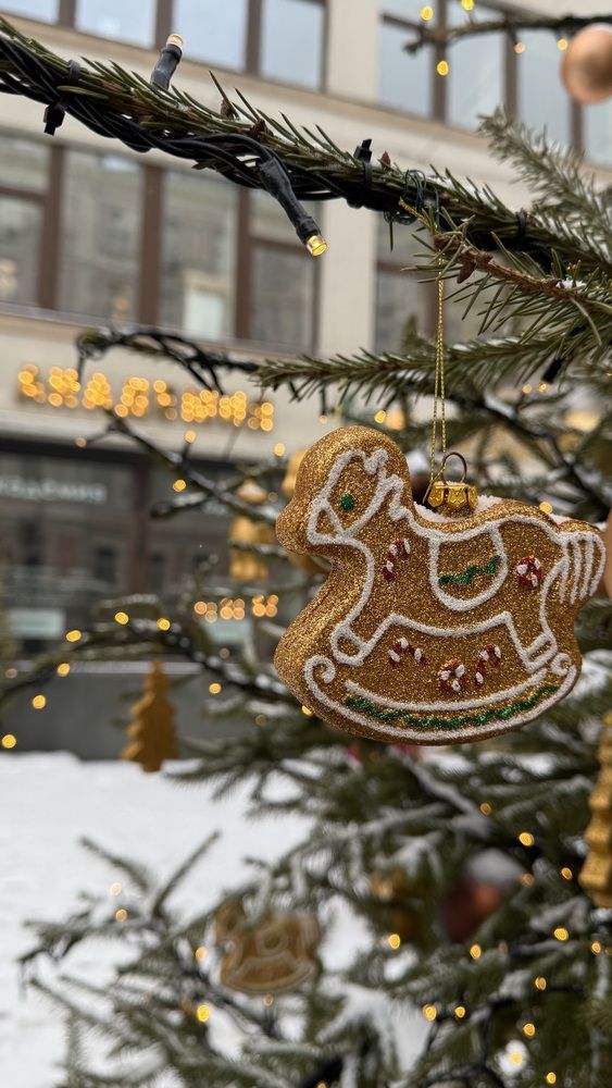 Фотография автора Виктория Ляпина