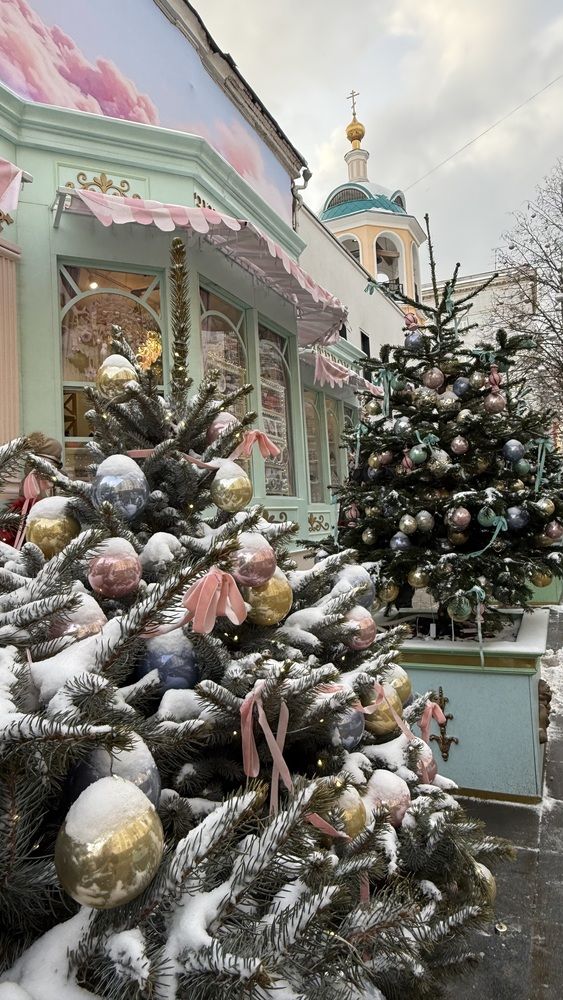 Фотография автора Виктория Ляпина