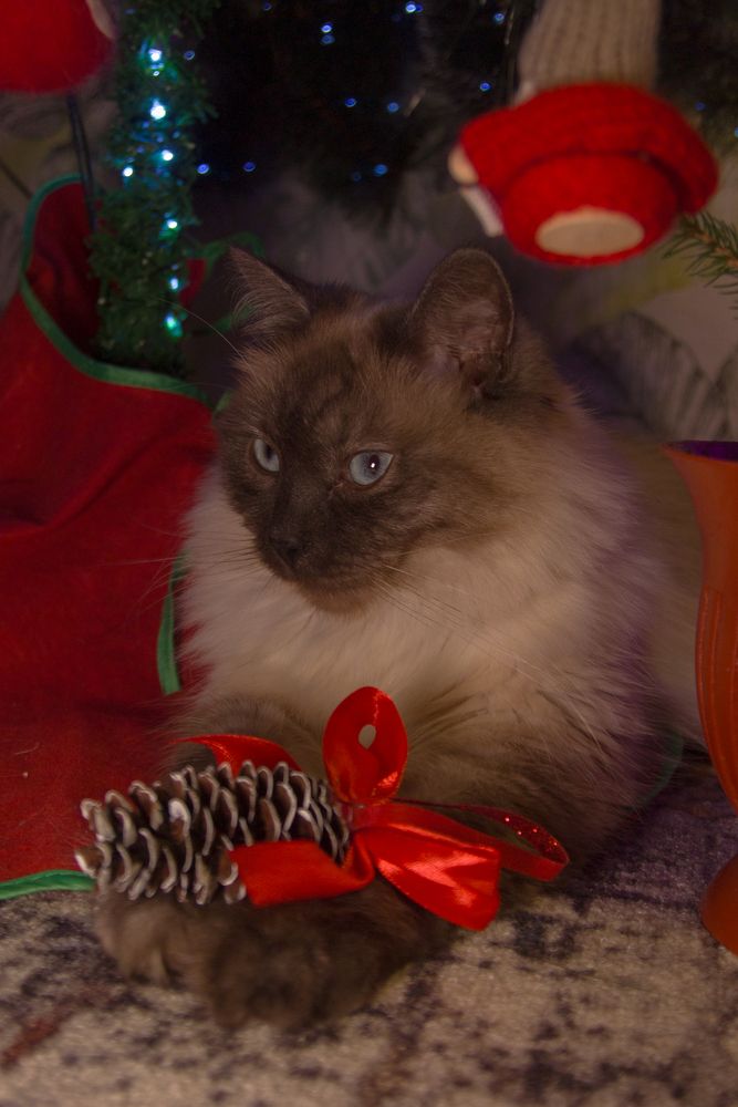 Photograph by Александр Суворов