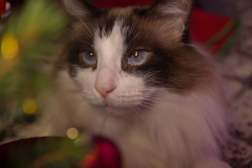 Photograph by Александр Суворов