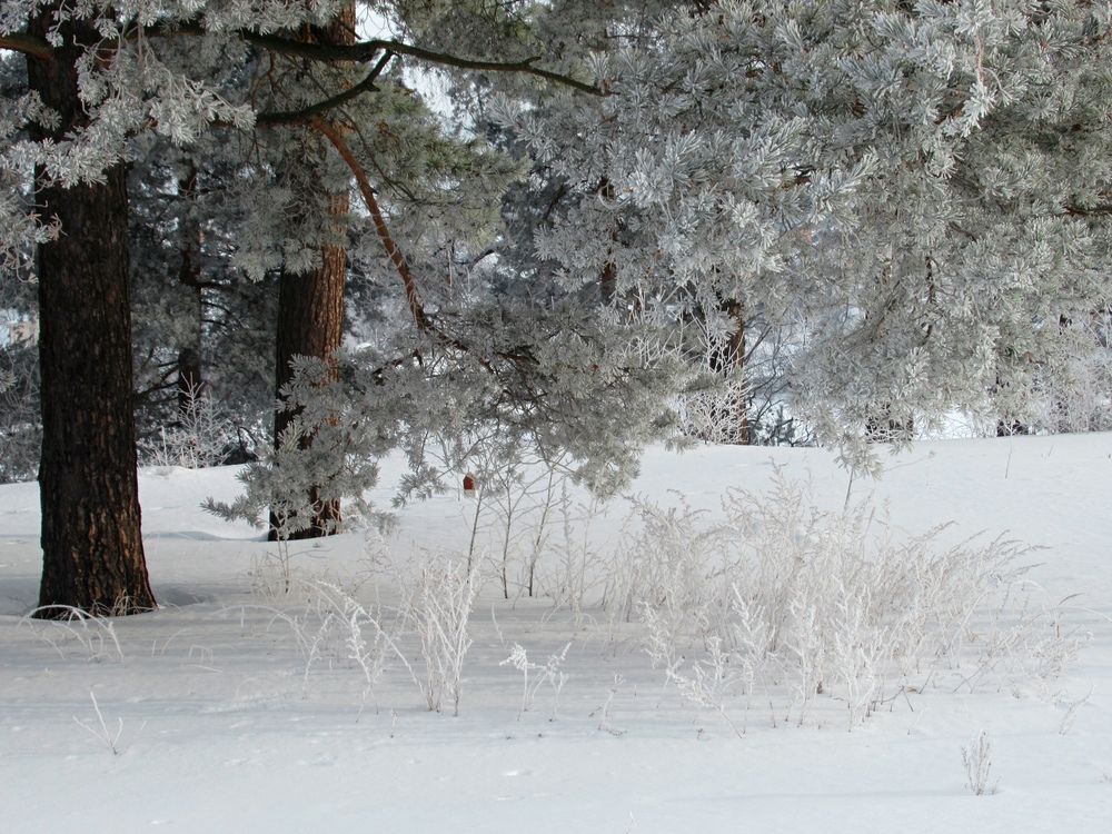 Photograph by Екатерина Салий