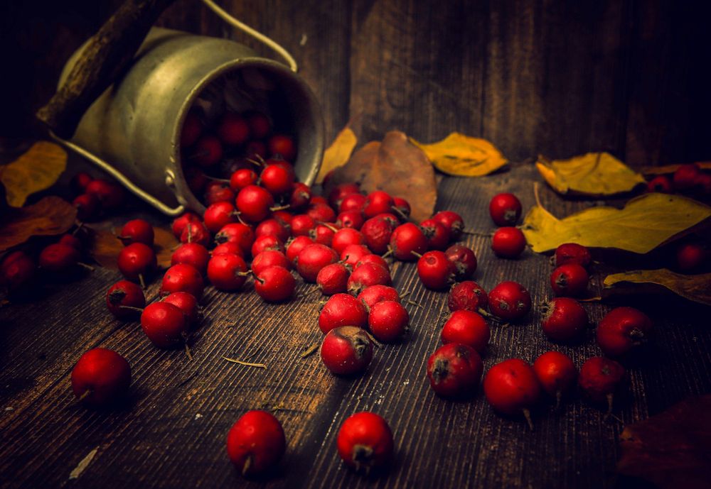 Photograph by Алексей Шевцов