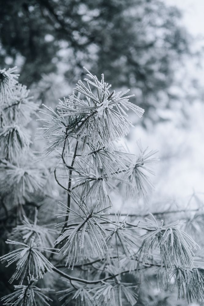 Photograph by Angela