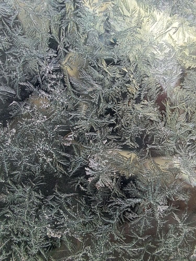Photo #13022952