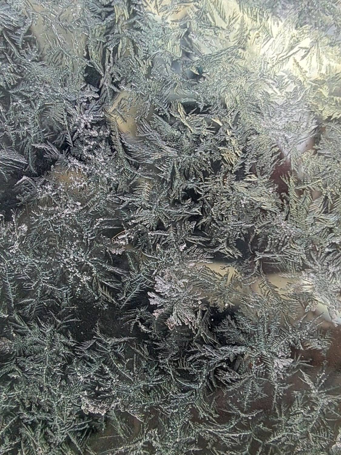 Photo #13022952