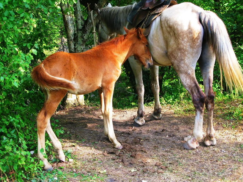 Photograph by Светлана Стрыгина
