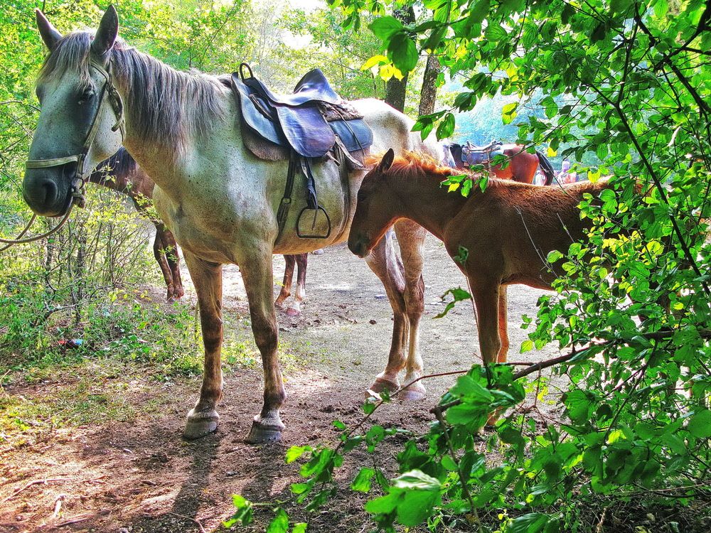 Photograph by Светлана Стрыгина