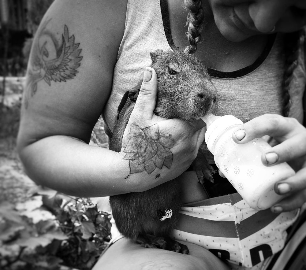 Photograph by Yana Borgia