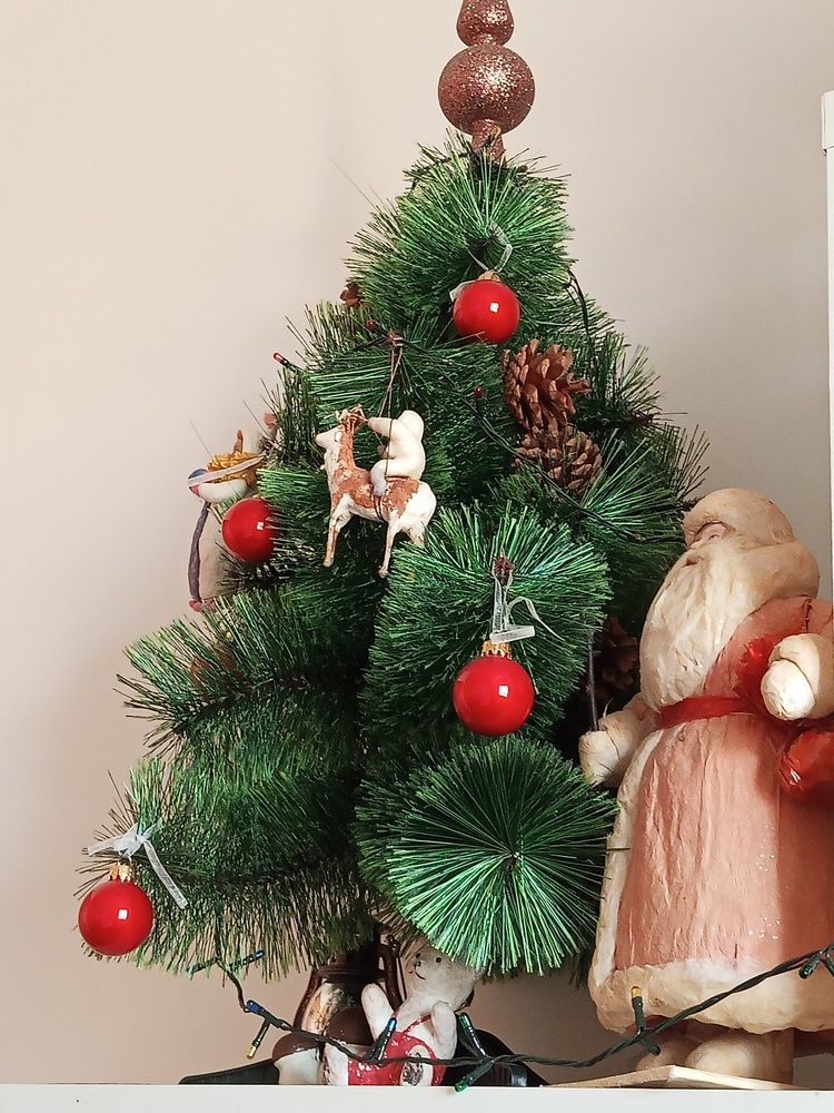 Photo #13023026