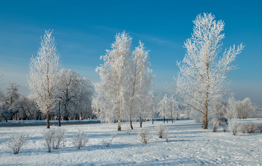 Photograph by Александр Гришин