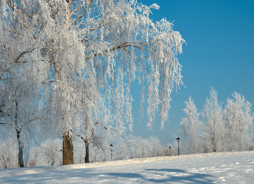 Photograph by Александр Гришин
