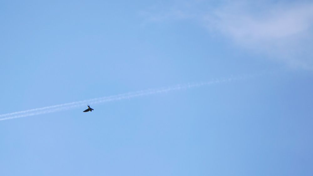 Photograph by Михаил Трусов