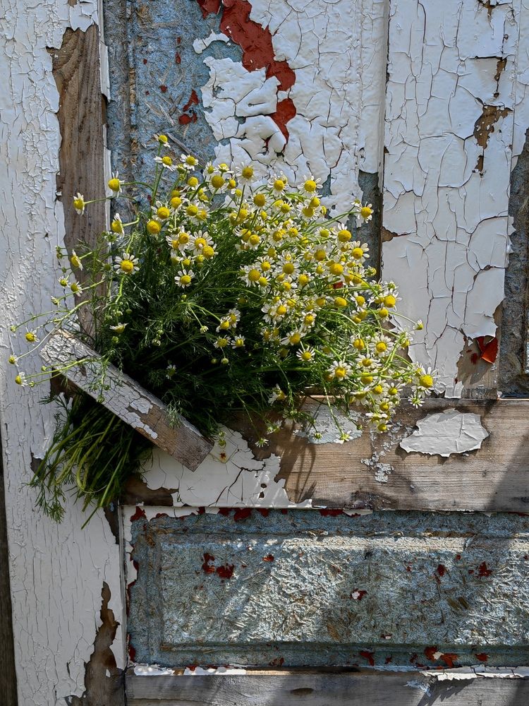 Photograph by Ульяна Кузьмина