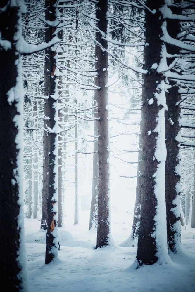 Фотография автора Artemi Artemov