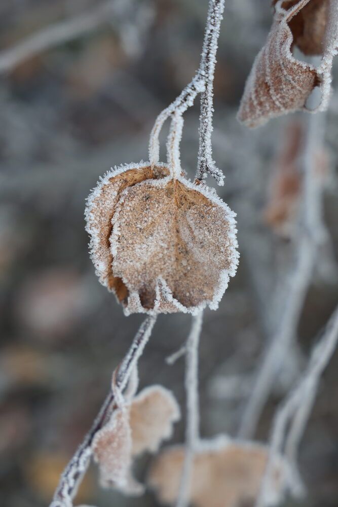 Photograph by Марина Иванникова